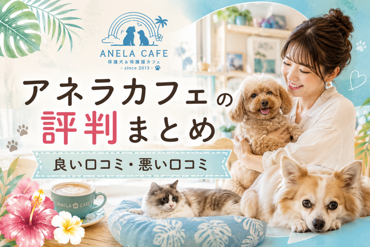 アネラカフェの口コミ・評判